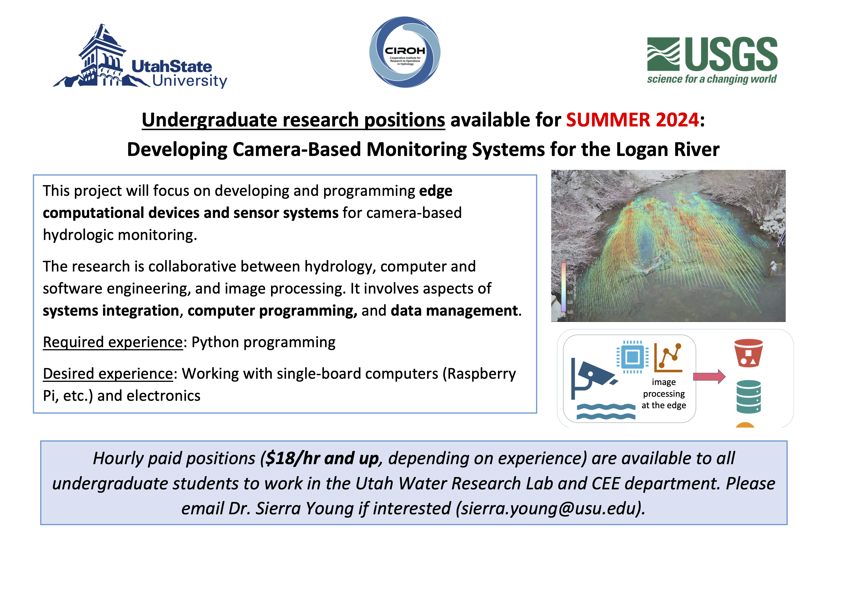 Undergraduate research opportunity